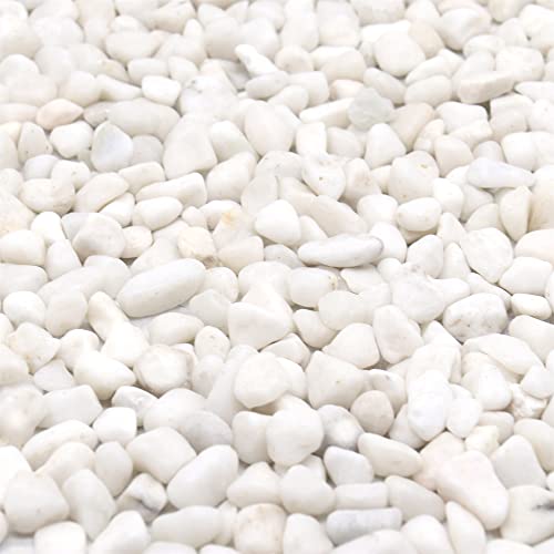 Premium Pebbles White Rocks for Plants. White Decorative Polished Pebbles. 3/8 Inch – 2lbs for Plants,Garden, Vase fillers, Succulents, pots, Plants (XSM (0.375 Inch), White - Lightly Polished, 2)