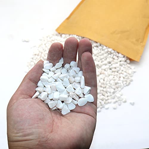 Premium Pebbles White Rocks. White Decorative Pebbles. 1/5 Inch – 10 lbs for Garden, Landscaping, Indoor, Vase fillers, Crafting, Succulents, pots, Plants (Mini (0.2 Inch), White - Tumbled, 10)