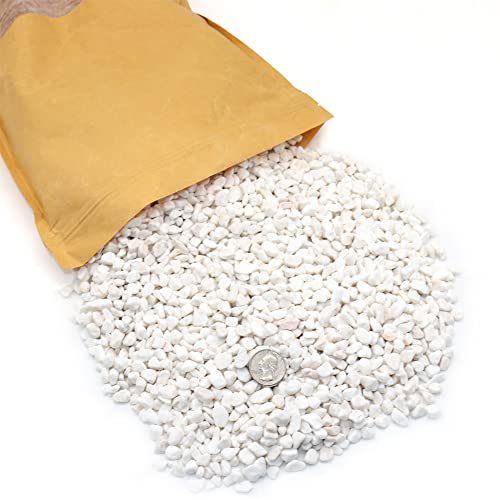 Premium Pebbles White Rocks. White Decorative Pebbles. 1/5 Inch – 10 lbs for Garden, Landscaping, Indoor, Vase fillers, Crafting, Succulents, pots, Plants (Mini (0.2 Inch), White - Tumbled, 10)