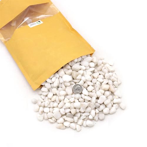 Premium Pebbles White Rocks for Plants. White Decorative Polished Pebbles. 3/8 Inch – 2lbs for Plants,Garden, Vase fillers, Succulents, pots, Plants (XSM (0.375 Inch), White - Lightly Polished, 2)
