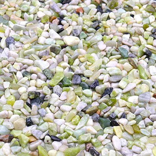 Premium Pebbles Rocks for Plants. Green Jade Decorative Polished Pebbles. 1/5 Inch – 2 lbs for Garden, Vase fillers, Crafting, Succulents, pots, Plants (Mini (0.2 Inch), Green Jade - Polished, 2)