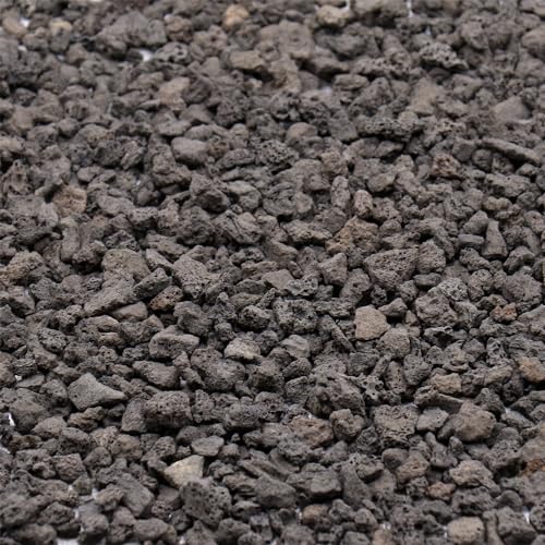 Premium Pebbles Volcanic Rock for Plants. Black Color Lava Rock. 1/5 Inch - 10 lbs for Potting Soil, Succulents, Pots, Plants, Gardening, Indoor, Crafting, Vase Fillers (Mini, Horticultural - Black Lava, 10)
