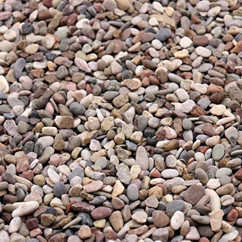 Premium Pebbles Rocks for Plants. Mixed Black/Earth Tones Color Pebbles. 1/5 Inch – 10 lbs for Garden, Crafting, Succulents, pots, Plants (Mini (0.2 Inch), Mixed Color - Black, 10)