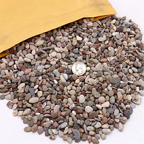 Premium Pebbles Rocks for Plants. Mixed Black/Earth Tones Color Pebbles. 1/5 Inch – 10 lbs for Garden, Crafting, Succulents, pots, Plants (Mini (0.2 Inch), Mixed Color - Black, 10)