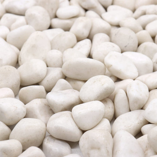 Premium Pebbles White Rocks for Plants. White Decorative Polished Pebbles. 1 to 2 Inch – 10lbs for Plants, Garden, Succulents, pots, Plants (MD (1 to 2 Inch), White - Lightly Polished, 10)