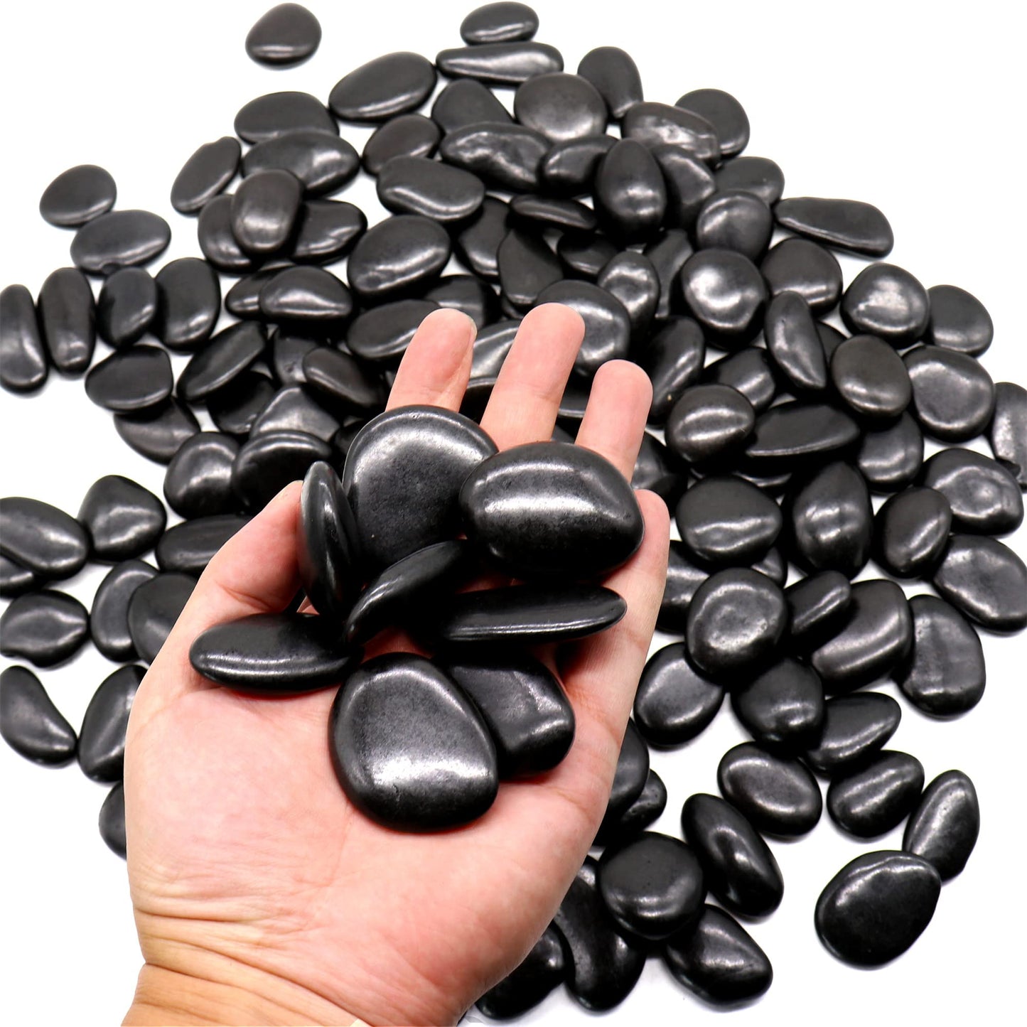 Premium Pebbles Black Rocks for Plants. Black Decorative Polished Pebbles. 1 to 2 inch – 10 lbs for Plants, Garden, Landscaping, Succulents, pots, Plants (MD (1 to 2 Inch), Black -Polished, 10)