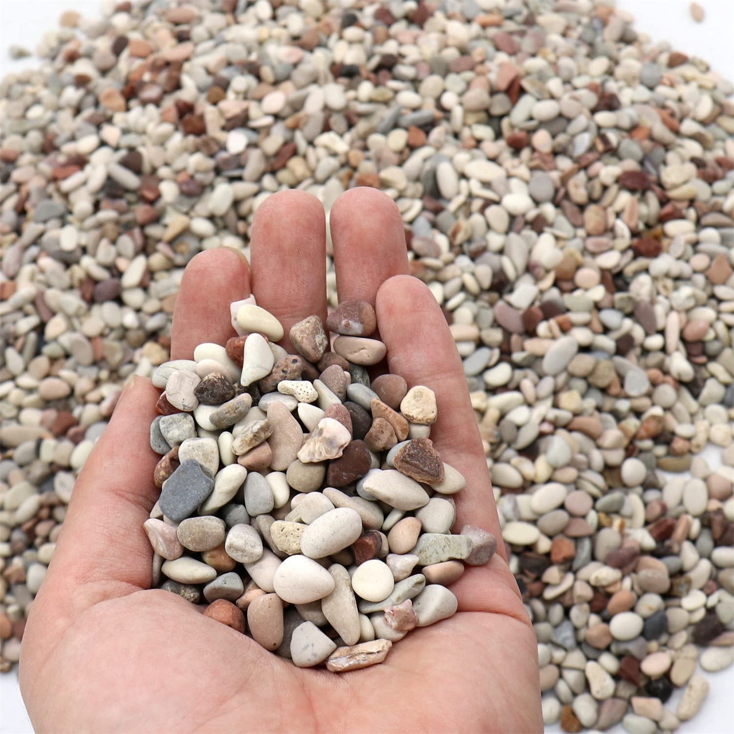 Premium Pebbles Rocks for Plants. Earth Color Decorative Pebbles. 1/5 Inch – 10 lbs for Garden, Vase fillers, Crafting, Succulents, pots, Plants (Mini (0.2 Inch), Mixed Color - Earth Tones, 10)