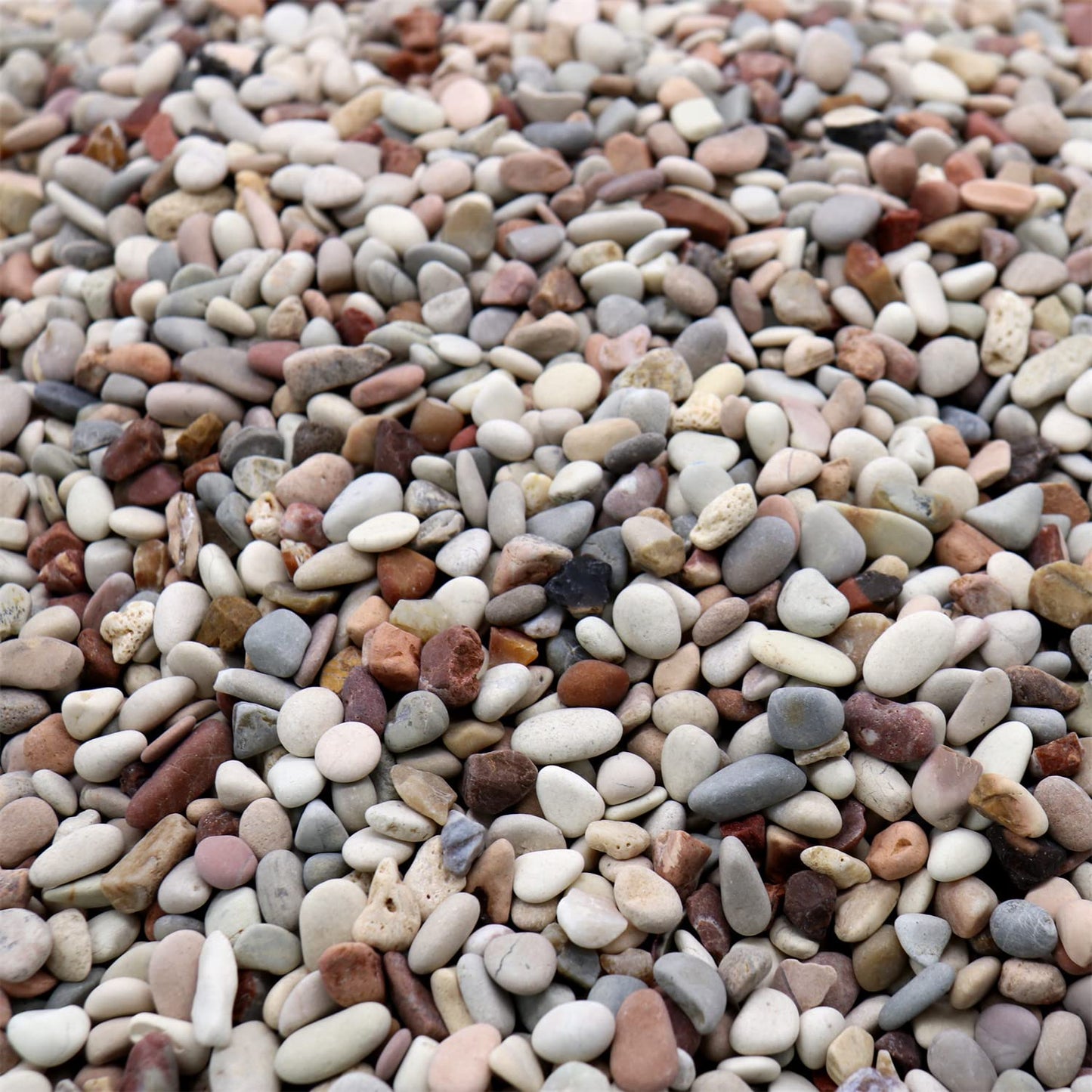 Premium Pebbles Rocks for Plants. Earth Color Decorative Pebbles. 1/5 Inch – 10 lbs for Garden, Vase fillers, Crafting, Succulents, pots, Plants (Mini (0.2 Inch), Mixed Color - Earth Tones, 10)