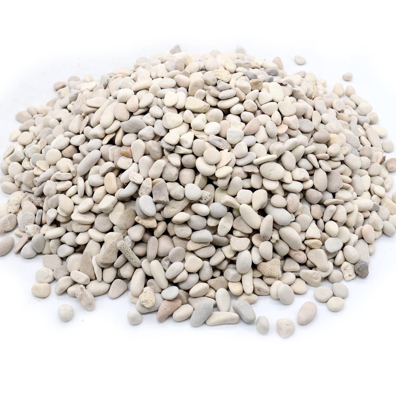 Premium Pebbles Rocks for Plants. Cream White Decorative Pebbles for Plants. 3/8 Inch – 10 lbs. Rocks for Garden, Landscaping, Succulents, pots, Plants (XSM (0.375 Inch), White - White Cream, 10)