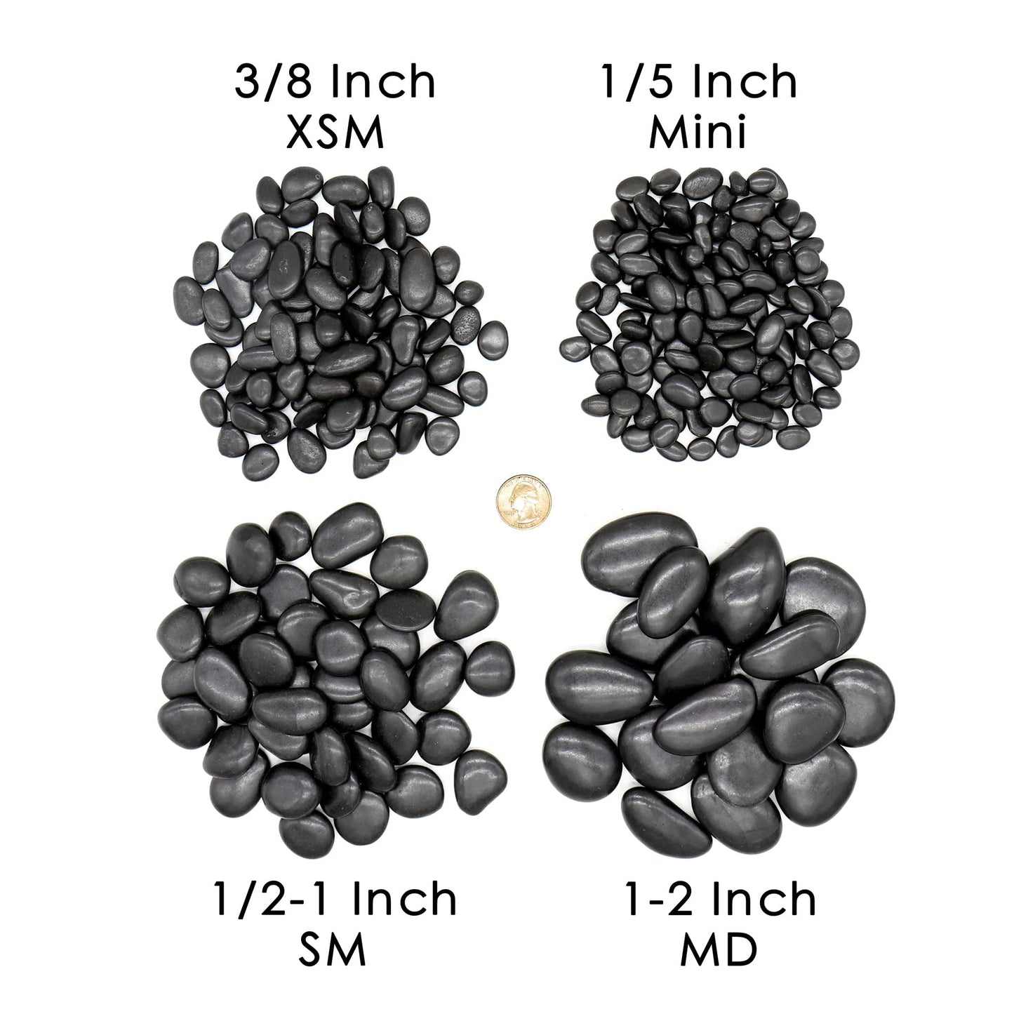 Premium Pebbles Black Rocks for Plants. Black Decorative Polished Pebbles. 1 to 2 inch – 10 lbs for Plants, Garden, Landscaping, Succulents, pots, Plants (MD (1 to 2 Inch), Black -Polished, 10)