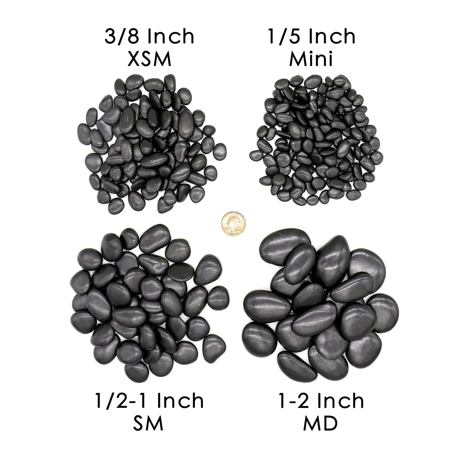 Premium Pebbles Black Rocks for Plants. Black Decorative Polished Pebbles. 1/2 to 1 Inch – 2 lbs. for Plants, Garden, Vase fillers, Succulents, pots (SM (0.5 to 1 Inch), Black -Polished, 2)