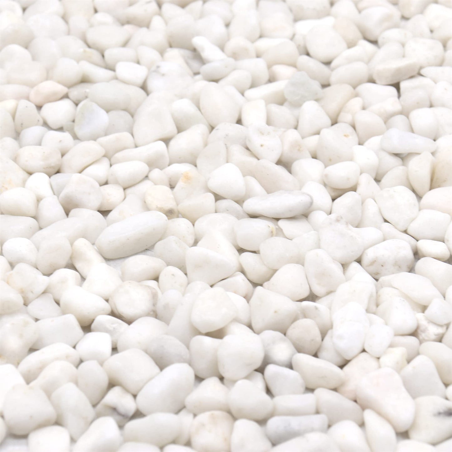 Premium Pebbles White Rocks for Plants. White Decorative Polished Pebbles. 3/8 Inch – 5 lbs for Plants,Garden, Vase fillers, Succulents, pots, Plants (XSM (0.375 Inch), White - Lightly Polished, 5)