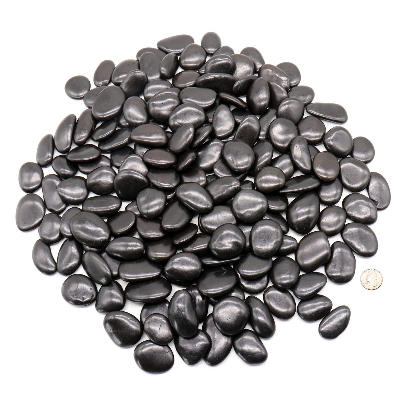 Premium Pebbles Black Rocks for Plants. Black Decorative Polished Pebbles. 1 to 2 inch – 10 lbs for Plants, Garden, Landscaping, Succulents, pots, Plants (MD (1 to 2 Inch), Black -Polished, 10)