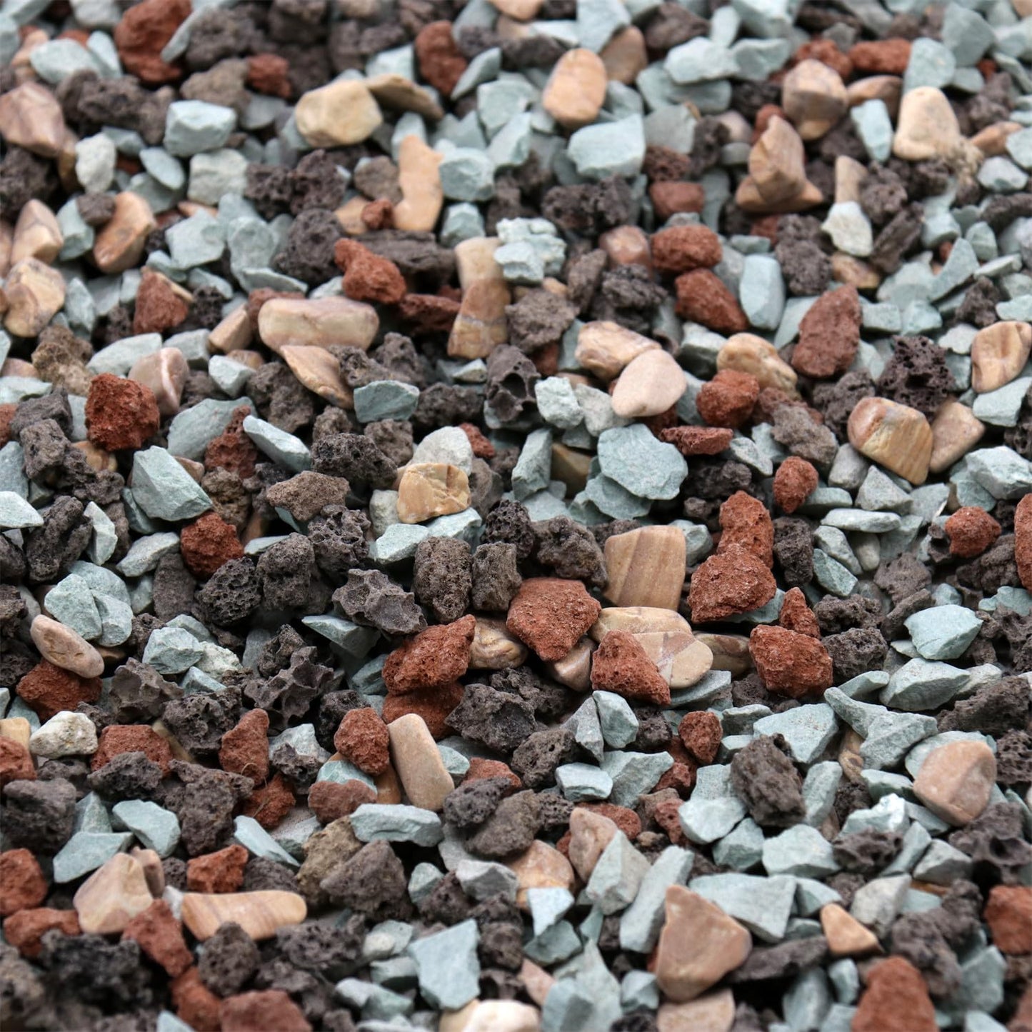 Premium Pebbles Volcanic Rock for Plants. Gritty Mix. Mixed Color Lava. 1/5 Inch - 10 lbs for Potting Soil, Succulents, Pots, Plants, Gardening (Mini (0.2 Inch), Horticultural - Bonsai Mix, 2)