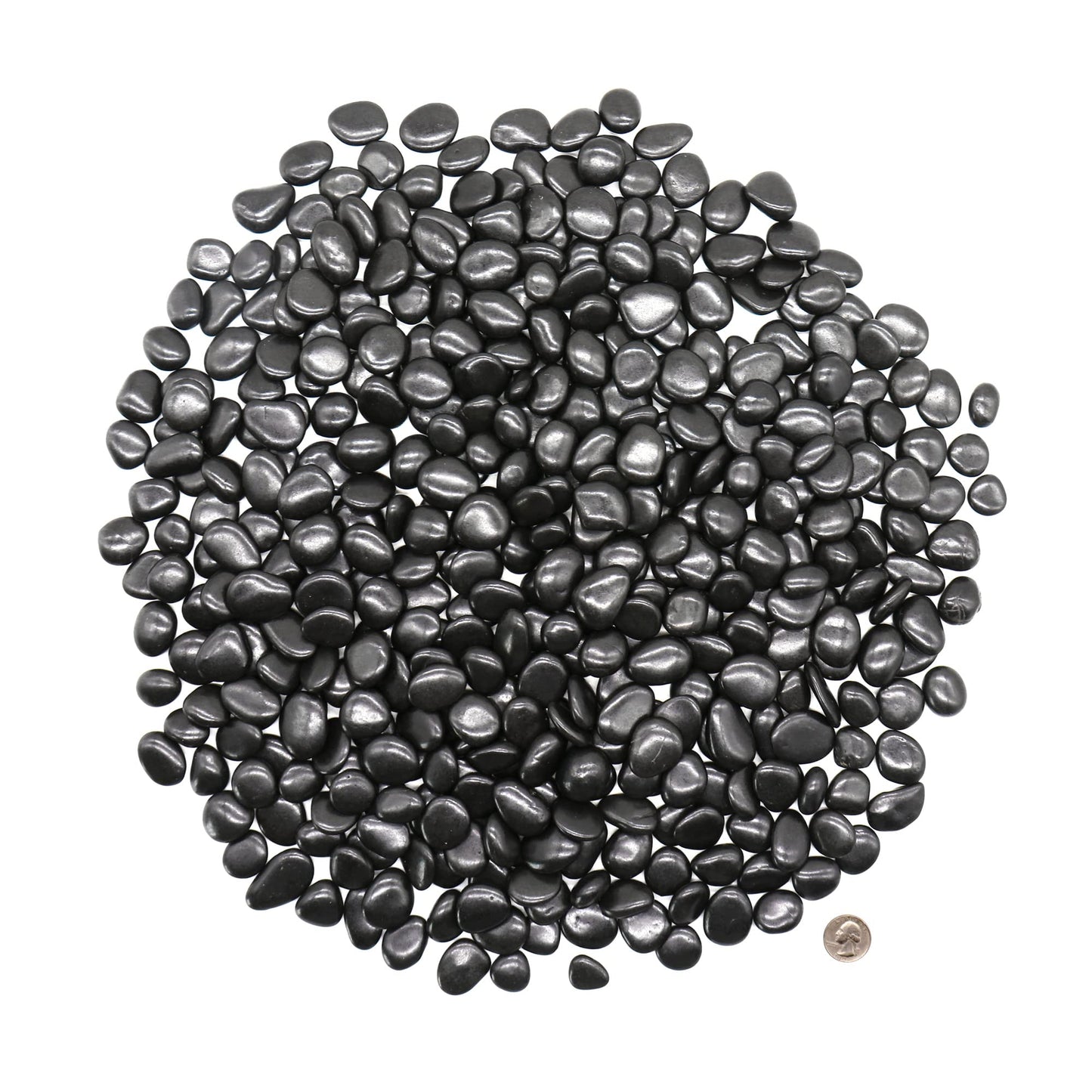 Premium Pebbles Black Rocks for Plants. Black Decorative Polished Pebbles. 1/2 to 1 Inch – 2 lbs. for Plants, Garden, Vase fillers, Succulents, pots (SM (0.5 to 1 Inch), Black -Polished, 2)