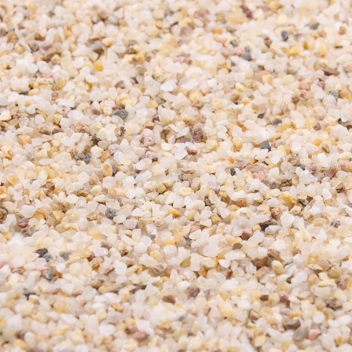 Premium Pebbles Coarse Sand. Golden Color. 1/8 Inch 5 lbs. for Potting Soil, Succulents, Pots, Plants, Gardening, Indoor, Crafting, Vase Fillers (X-Mini (0.125 Inch), COARSE Sand - Golden, 5)